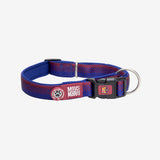 Collar para Perro FC Barcelona Max & Molly
