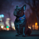 Collar para Perro Waudog Nasa con Luz Led