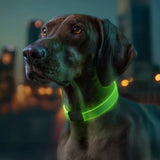 Collar para Perro Waudog con Luz Led RGB
