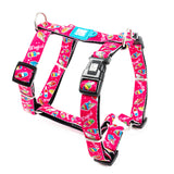 Max & Molly H-harness Magical