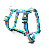 Max & Molly H-harness Aloha