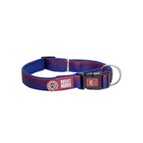 FC Barcelona Licensed Collar Max & Molly