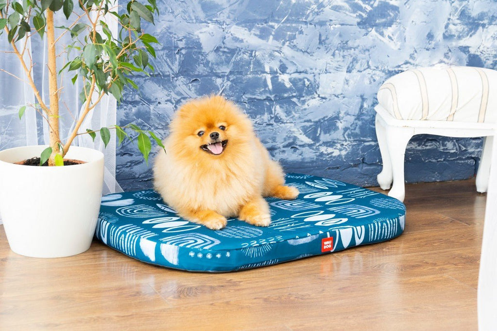 Waudog Pack cama abstracción Relax + cobertor S 55 cm. x 40 cm. - Pet Fashion
