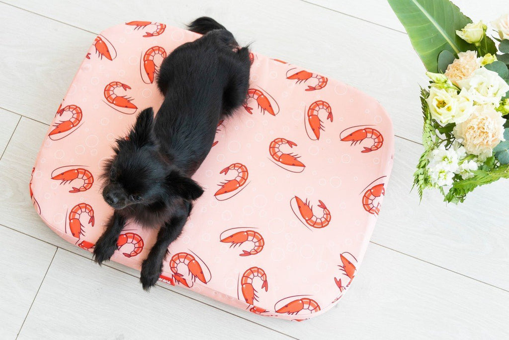 Waudog Pack cama camarón Relax + cobertor L 100 cm. x 70 cm. - Pet Fashion