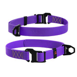 Collar para Perro Evolutor Ultra Resistente Lila