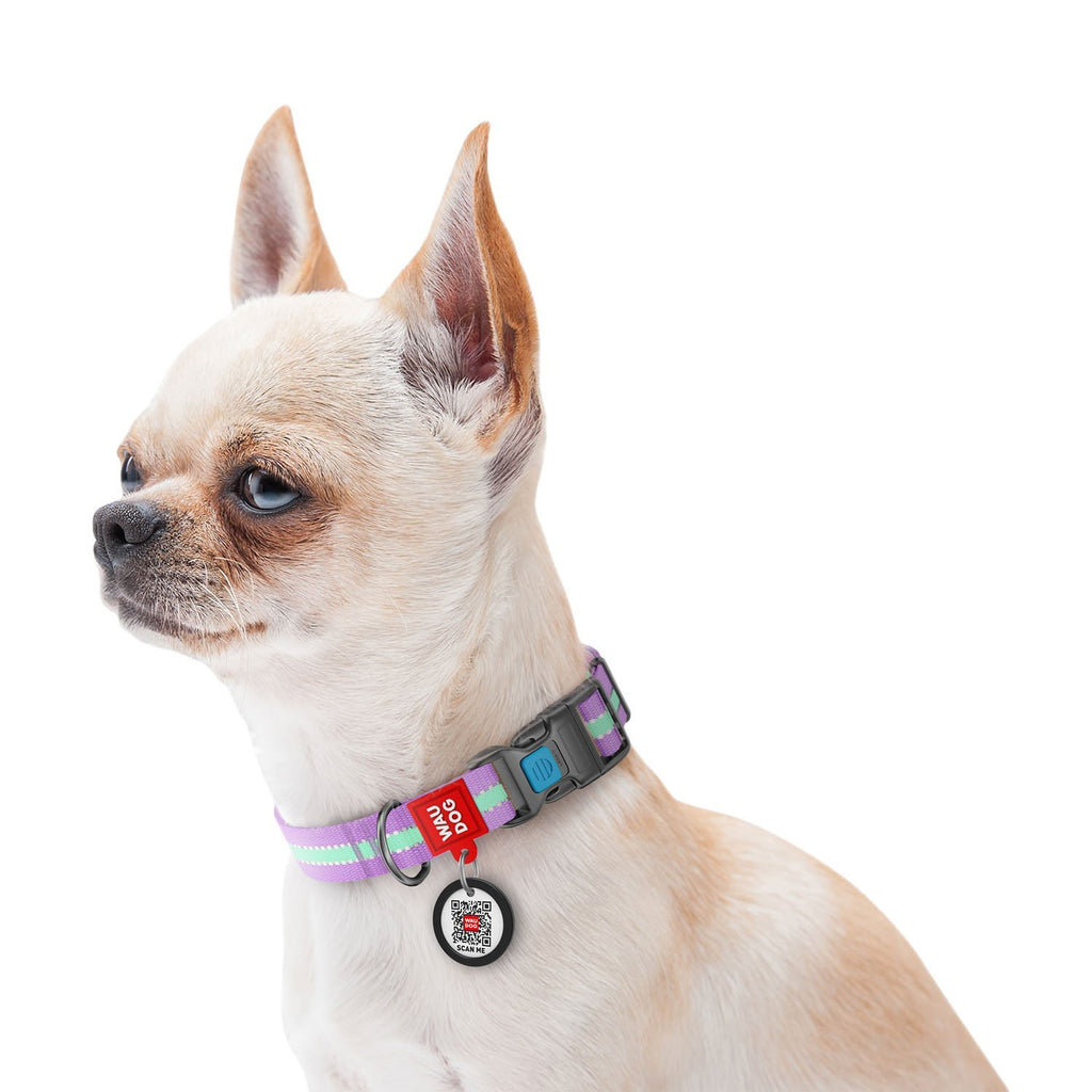 Collar LILA Nylon - Brilla en la oscuridad con SMAR ID WAUDOG - Placa de identificación ¡GRATIS! - Pet Brands
