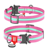 Waudog Collar ROSADO con Hebilla de Metal - BRILLA EN LA OSCURIDAD + Placa de identificación SMAR ID con diseño WAUDOG - ¡GRATIS!