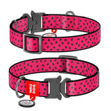 Waudog Collar WATERMALON con hebilla de metal + Placa de identificación Smart ID con diseño WAUDOG ¡GRATIS! –  Con registro Online
