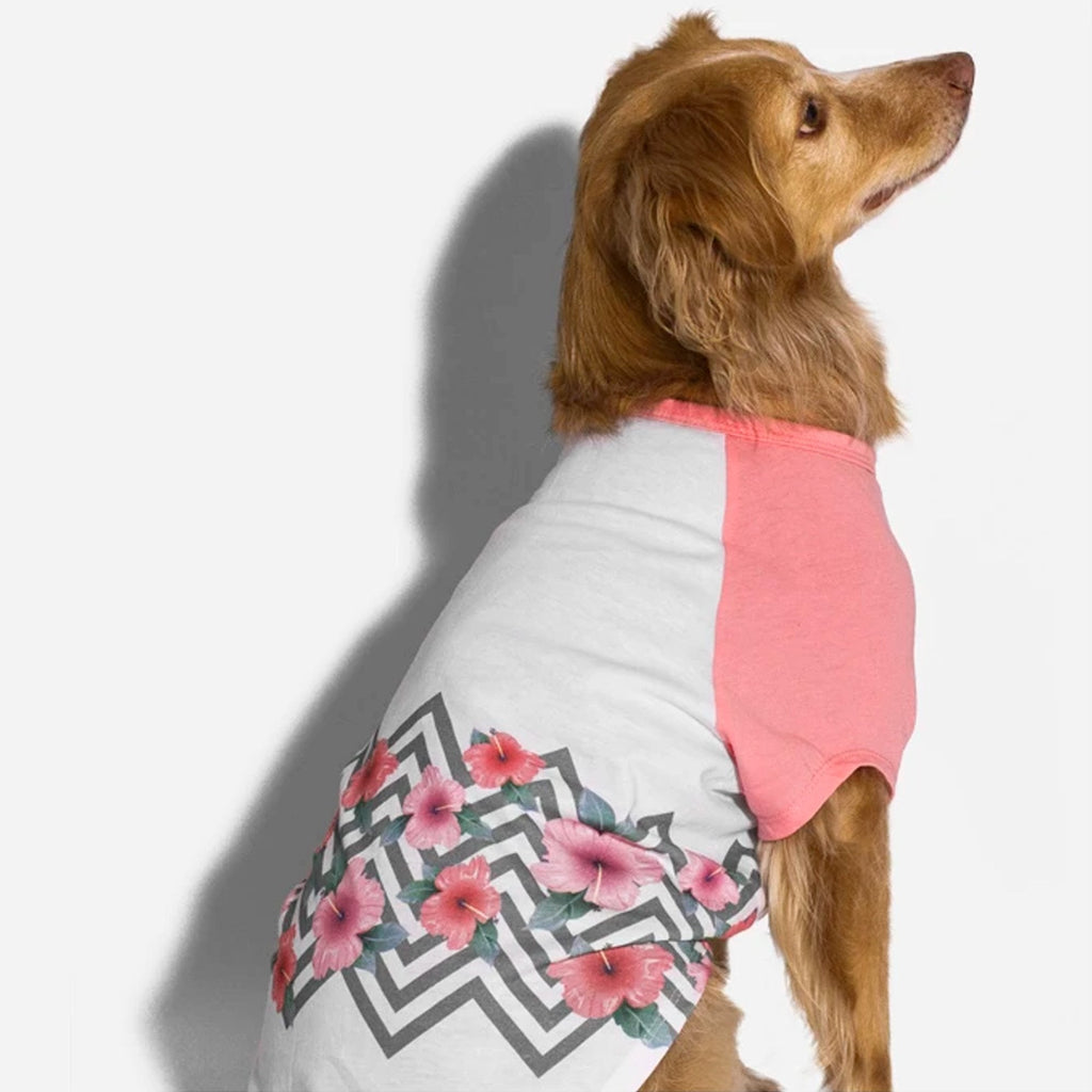 Zee.dog Polo Mahalo Flowers T-shirt - Pet Brands